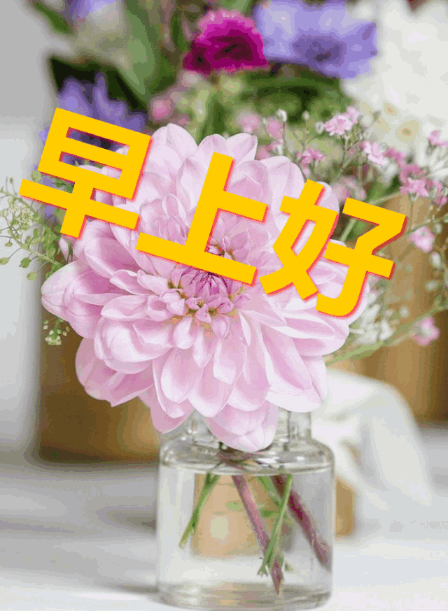 在信息化时代，短信作为一种便捷的沟通方式，已经成为企业、机构和个人不可或缺的通讯工具。其中，通知短信模板的应用尤为广泛，它不仅提高了信息传递的效率，还确保了信息的准确性和一致性。本文将深入探讨通知短信模板的制作要点，并分享一些实用的模板案例。