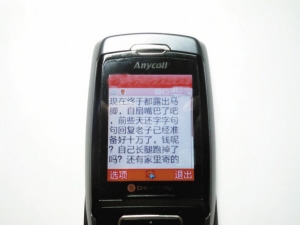 新年经典祝福短信：传递温馨，点亮希望